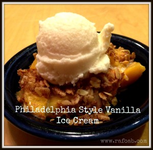 Philadelphia Style Vanilla Ice Cream
